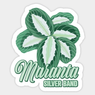 Maranta Silver Band Sticker